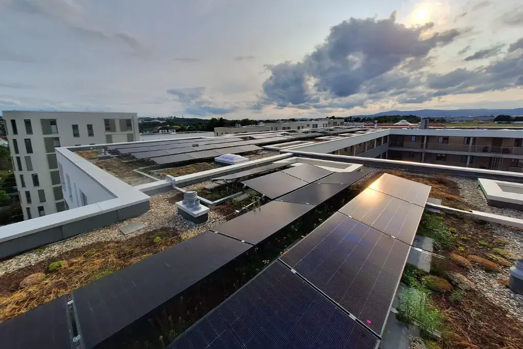 PV-Erweiterung auf einem begrünten Wohngebäudedach in Bad Vilbel mit moderner Photovoltaikanlage bei Sonnenuntergang