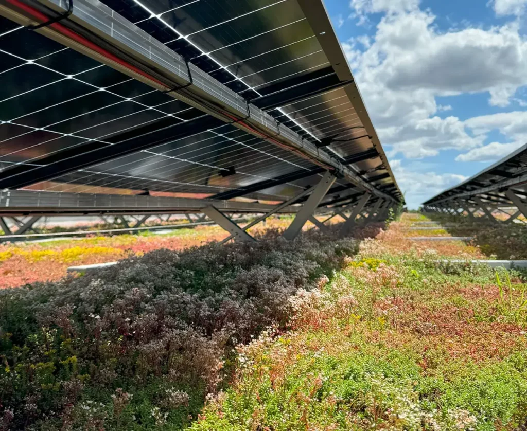 Gründach mit Gewerbe-Photovoltaikanlage